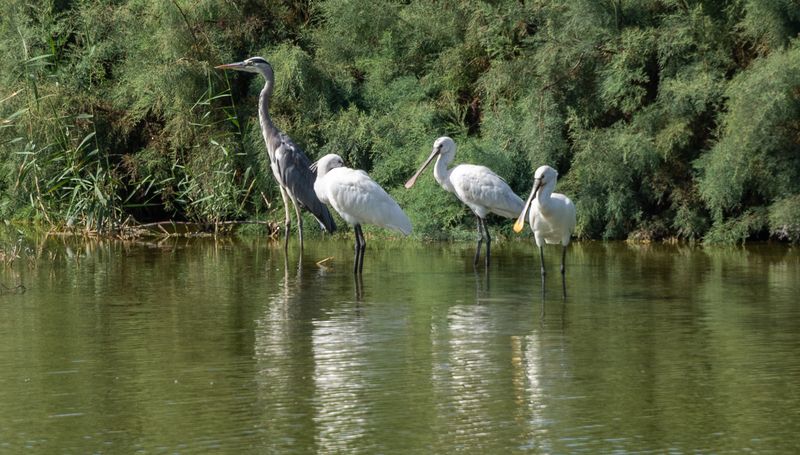 Дружная семейкаphoto preview