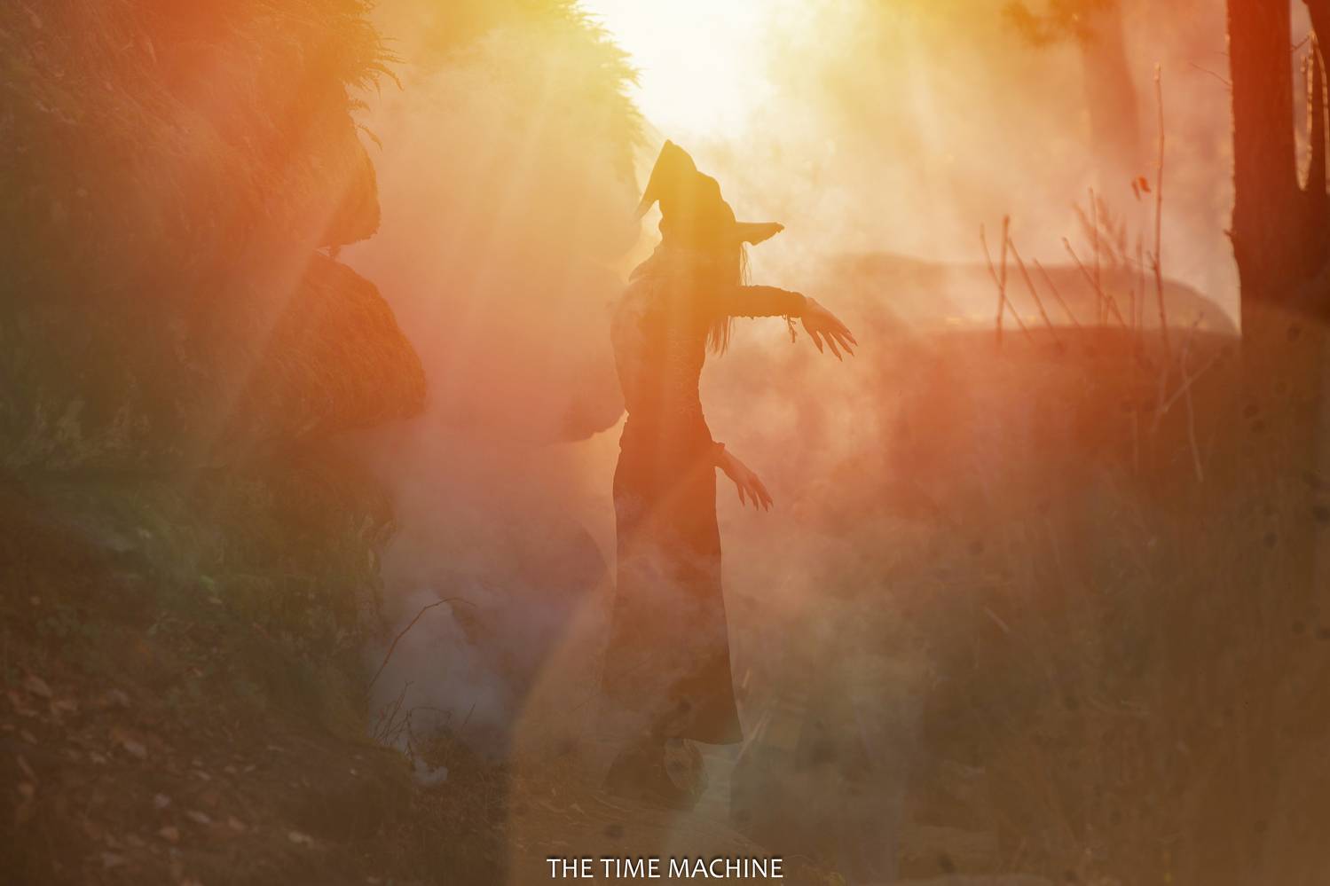 , Михаил Бове