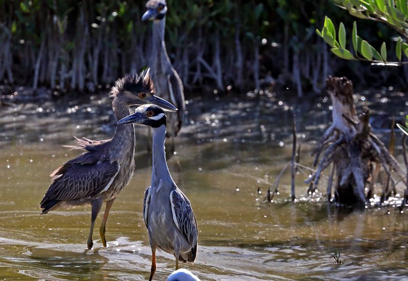 Отцы и детиphoto preview