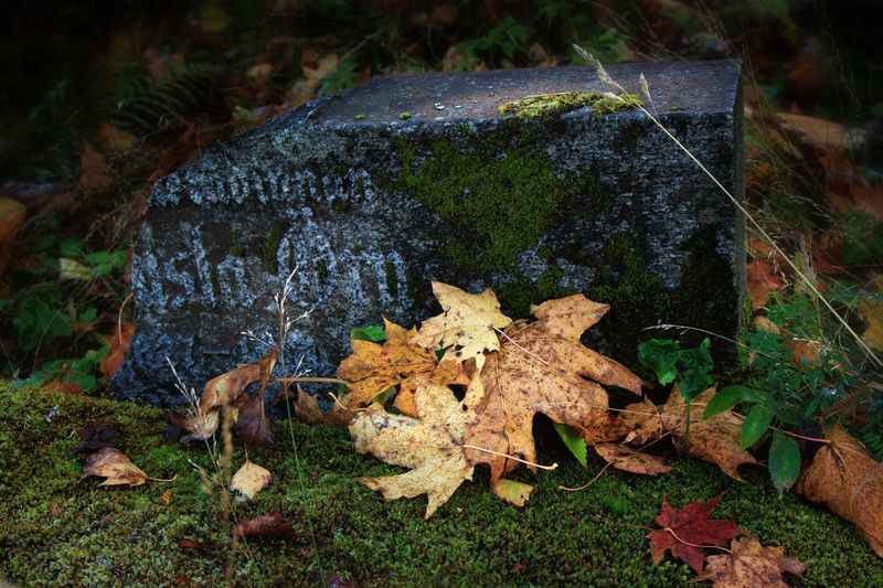 осень кладбище листопад \\\