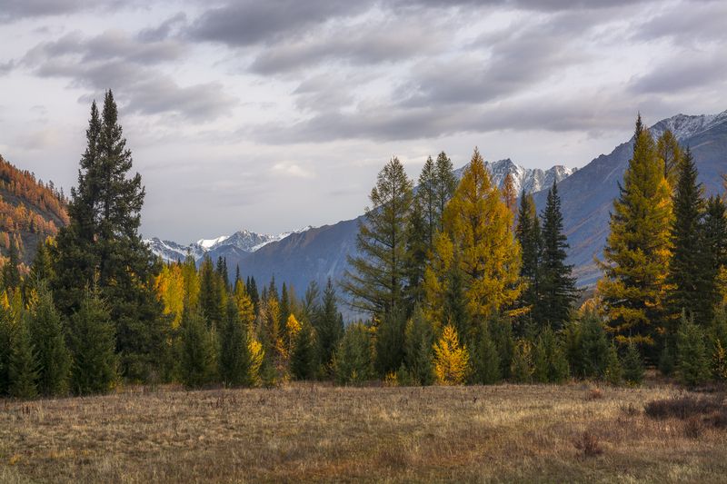 россия, горный алтай, осень, утро Наедине с природойphoto preview