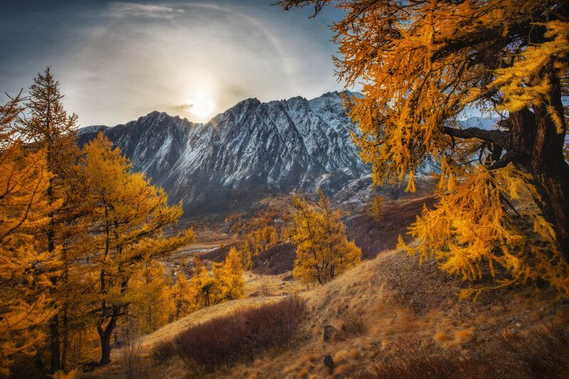 алтай, осень, пейзаж Осень на Акколеphoto preview