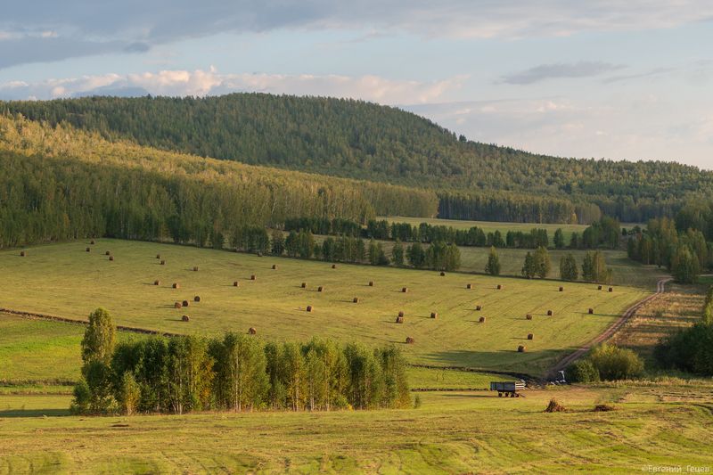 пейзаж, поле, россия, урал, горы, сено, трава Южный Уралphoto preview