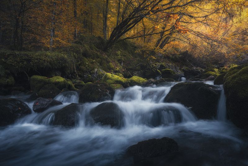 Enchanted Veilphoto preview