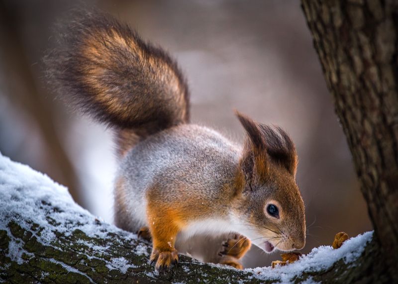 Радостная находка.photo preview