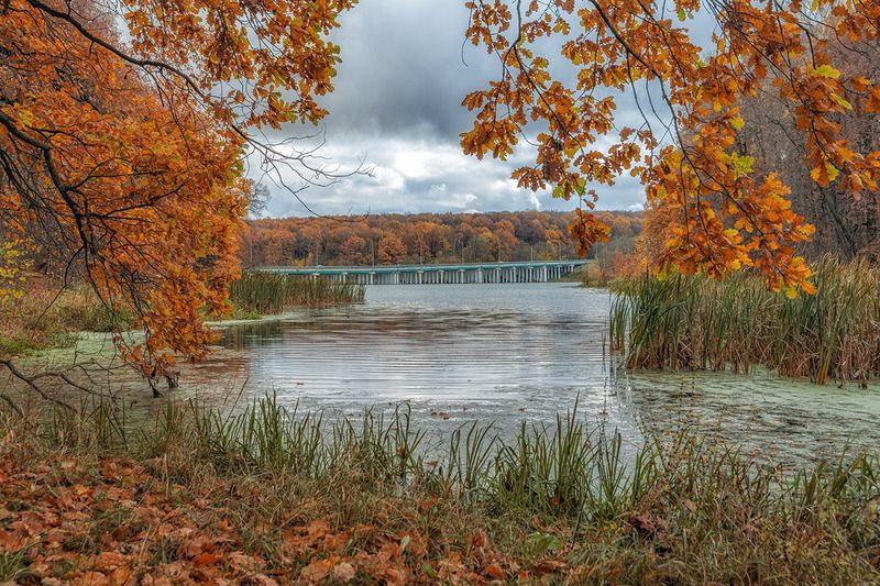 Краски осени.photo preview