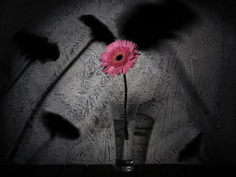 Тени photo preview