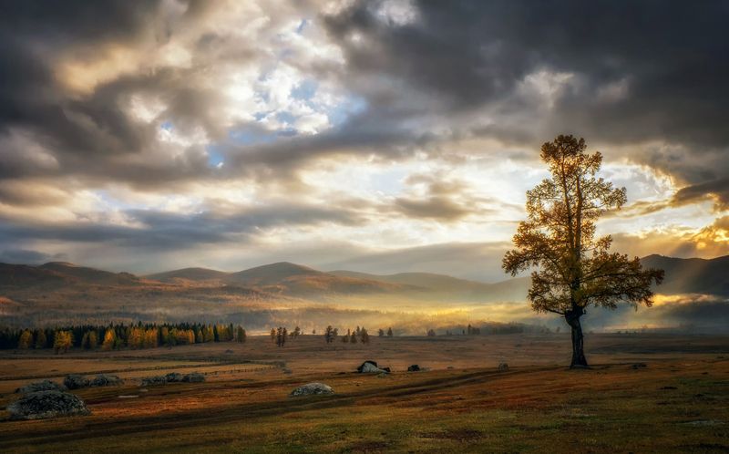 горный алтай, осень, утро, тучи, туман, лиственница, дорога, джазатор Разойдутся в небе тучи...photo preview