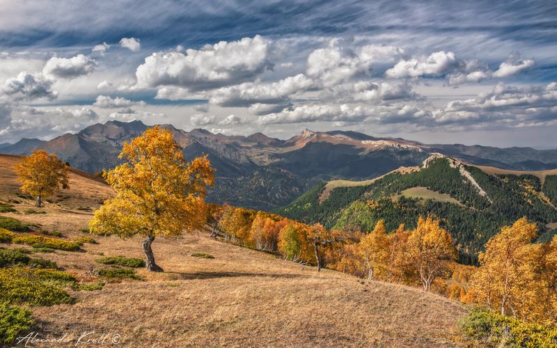 кчр, горы, осень, октябрь, березы, облака Когда в горах осеньphoto preview