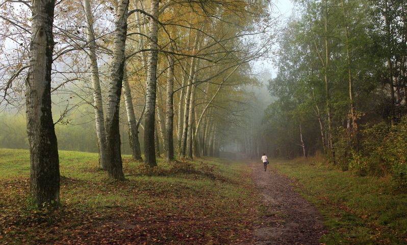 томск ботанический сад В паркеphoto preview