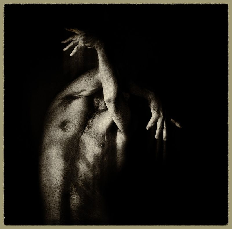 Птица фото превью