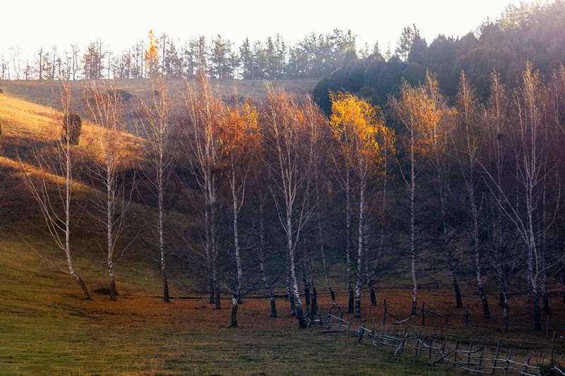 кыргызстан, урочище чункурчак В утреннем светеphoto preview