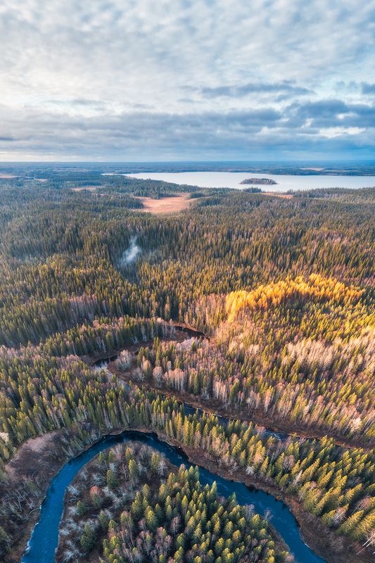 Уходящая осеньphoto preview