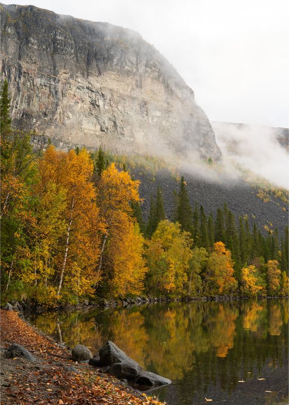 Краски осениphoto preview