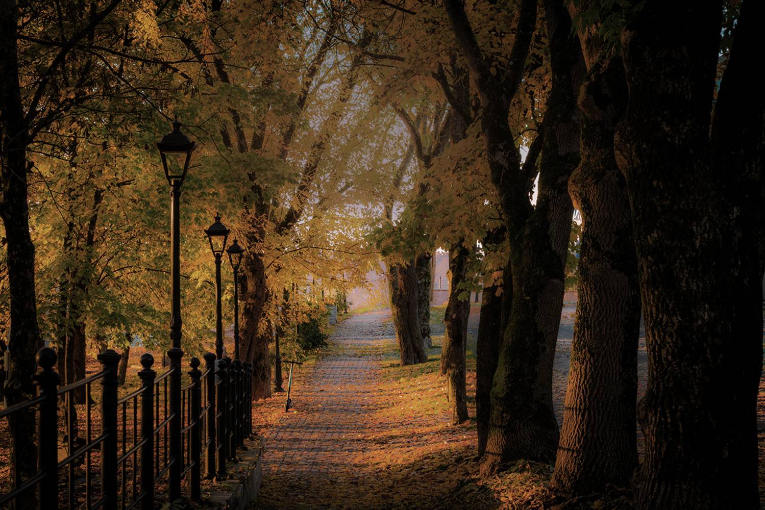 нарва утро октябрь темный сад золотая осень, Четвертной Сергей