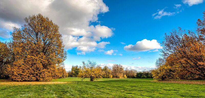 Парк, Осень, Коломенское, Листва, Москва Осень в паркеphoto preview