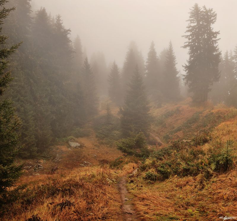 swiss Дороги...Осеньphoto preview