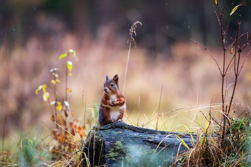 Ты меня фоткаешь?photo preview