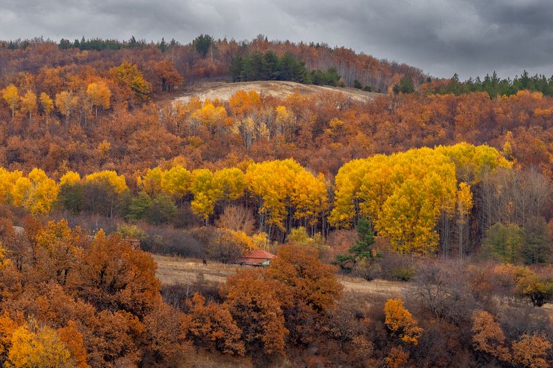 гремячка, саратовская область, природа, осень Октябрь в Гремячке..photo preview