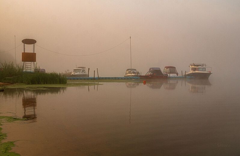 лето утро туман природа река причал катер Причал.photo preview