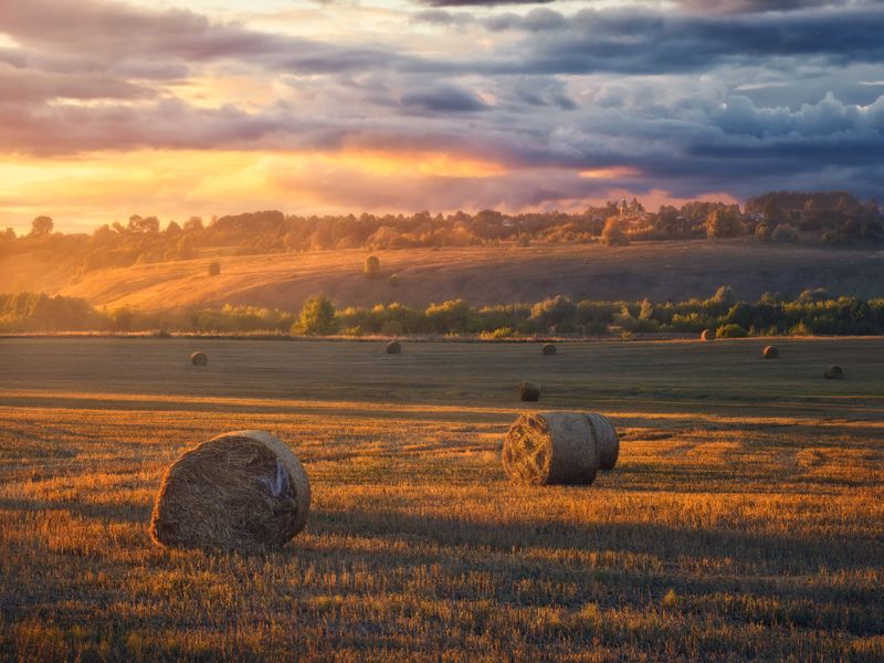 россия, чувашия, природа, закат, поле, сено, дождь Летний вечерphoto preview