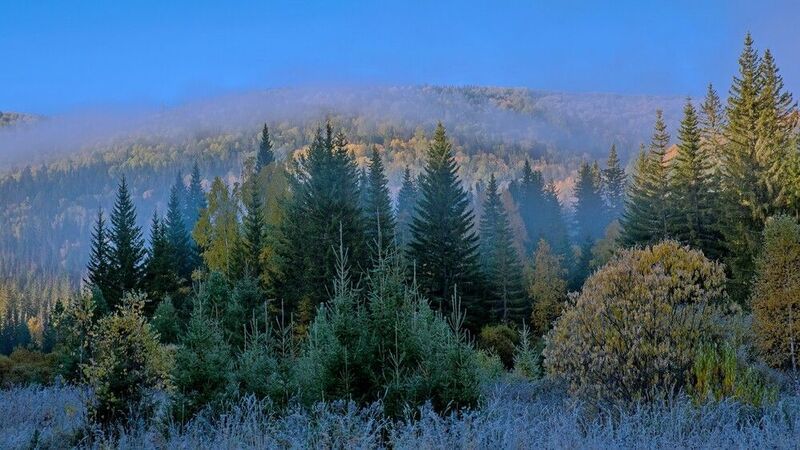 осень, серебро, горы Посеребрила осеньphoto preview
