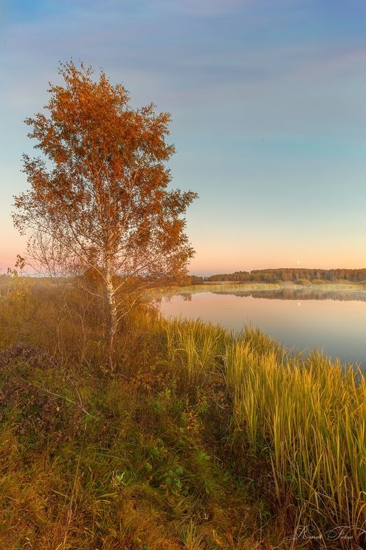 Костромской край.photo preview