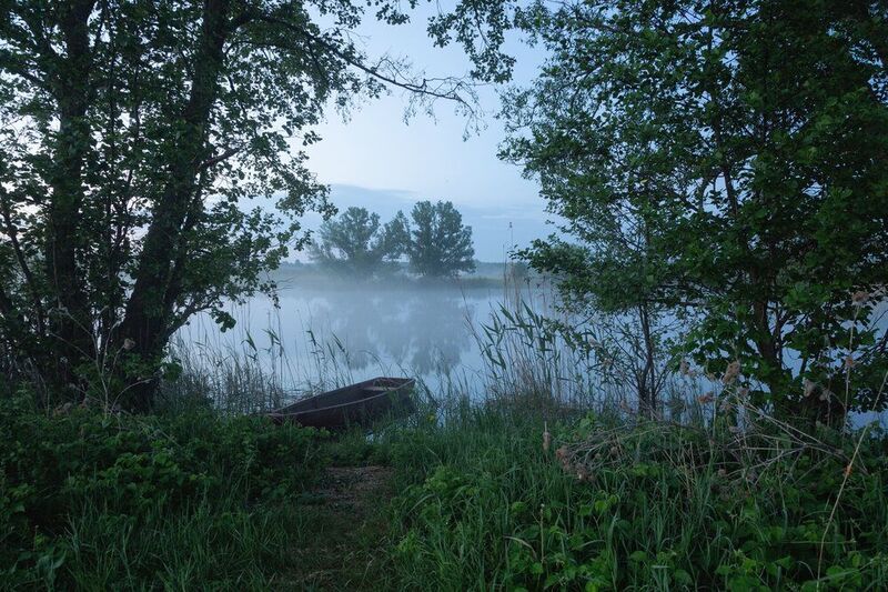 В последний день маяphoto preview