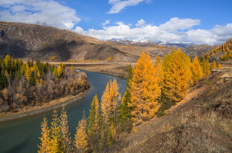 россия, горный алтай, река , осень На изгибеphoto preview