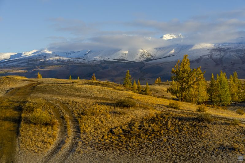 алтай Курайphoto preview