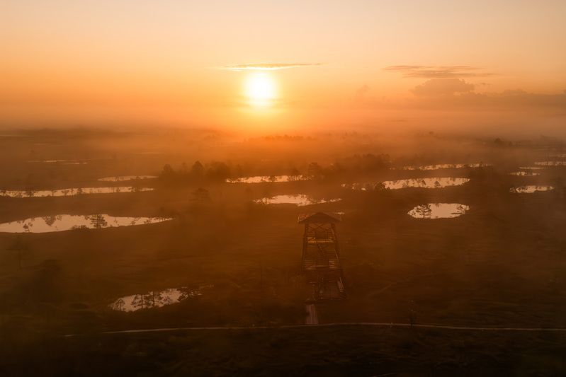 Осеннее утроphoto preview