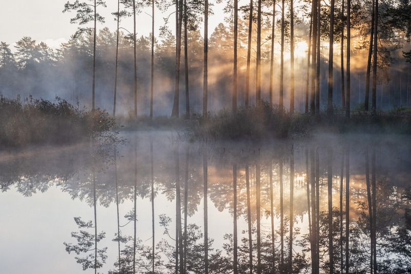 Утро на озереphoto preview