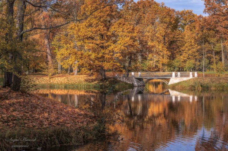 осень, осенний пейзаж, парки, мосты photo preview