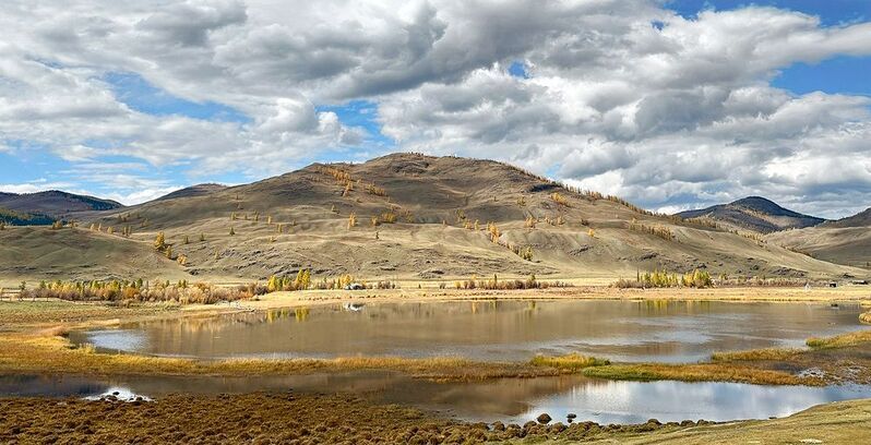 Осенняяphoto preview