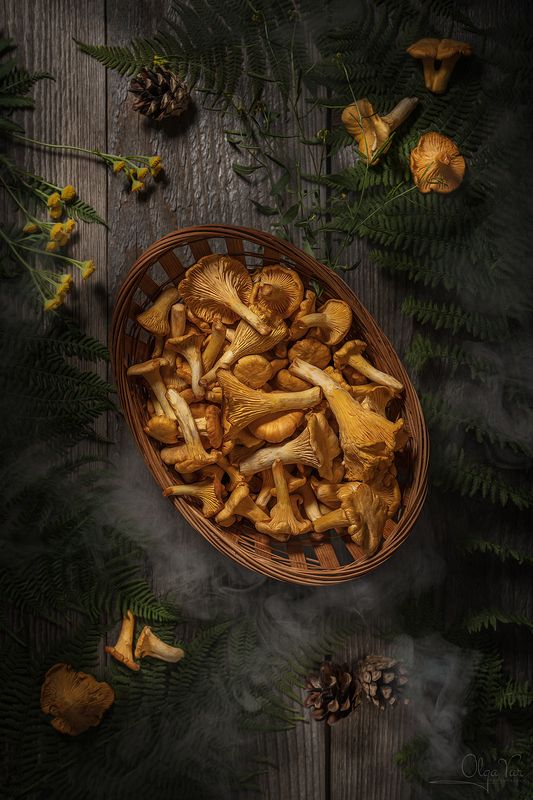 грибы, лисички, рыжики, папоротник, шишки Лисичкиphoto preview