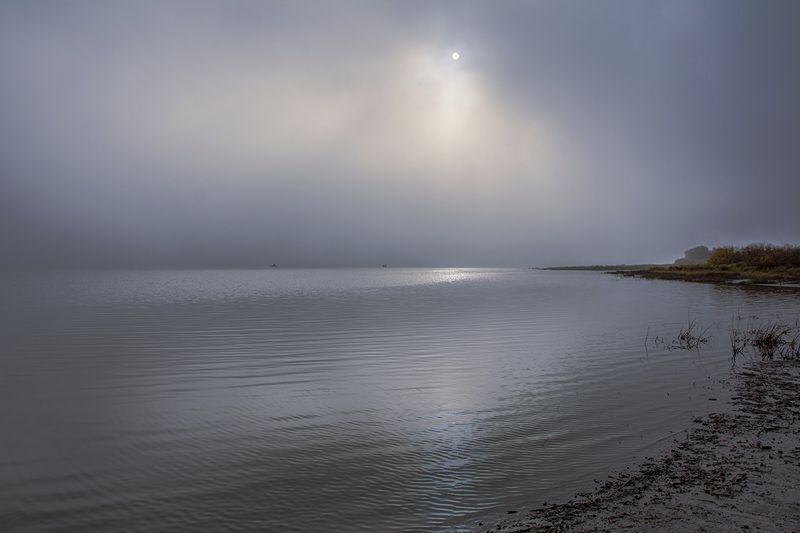 осенние туманыphoto preview