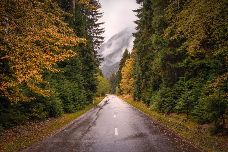 racha, fall, autumn, forest, trees, yellow, mountains, clouds, sky, nature, landscape, scenery, travel, outdoors, georgia, sakartvelo, chizh Yellow Toned Roadphoto preview