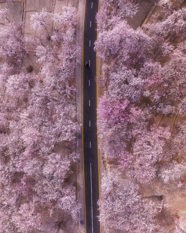 Pakistanphoto preview