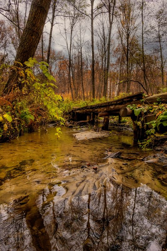 село лох, саратовская область, природа, ручей, осень, природа, вода, отражение Мосток у Караульной горы..photo preview