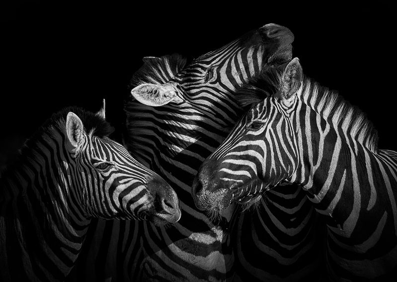 Намибийские истории...photo preview