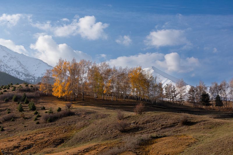 кыргызстан, урочище чункурчак Огни ускользающей осениphoto preview