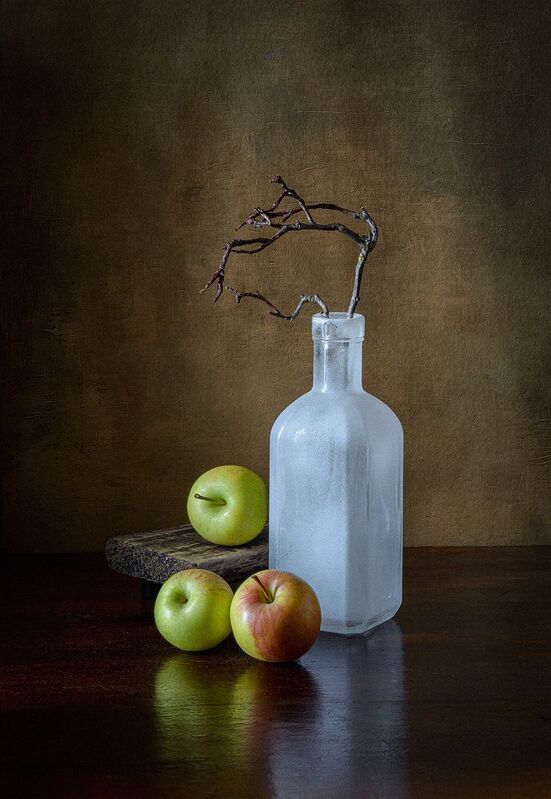 бутылка, яблоки, подставка, ветка, мешковина photo preview