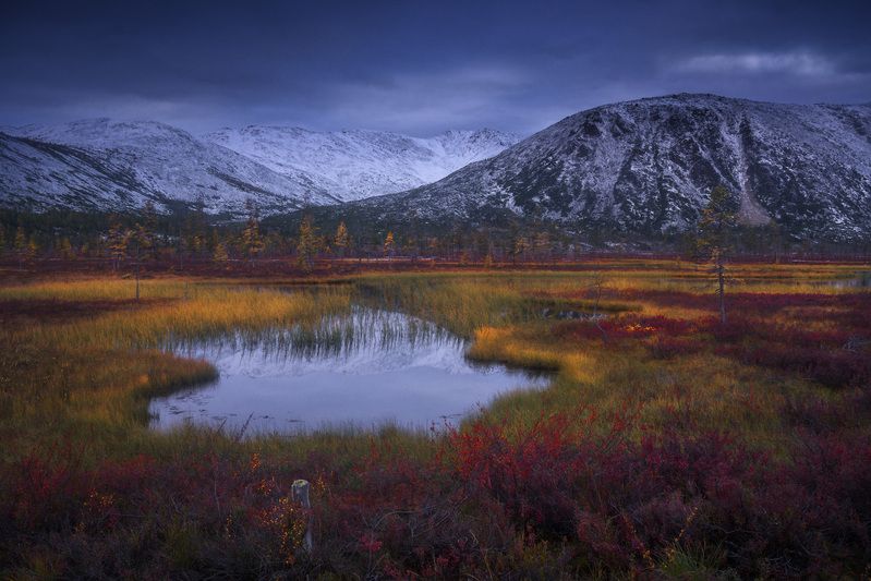 колыма, пурга Краски Колымыphoto preview