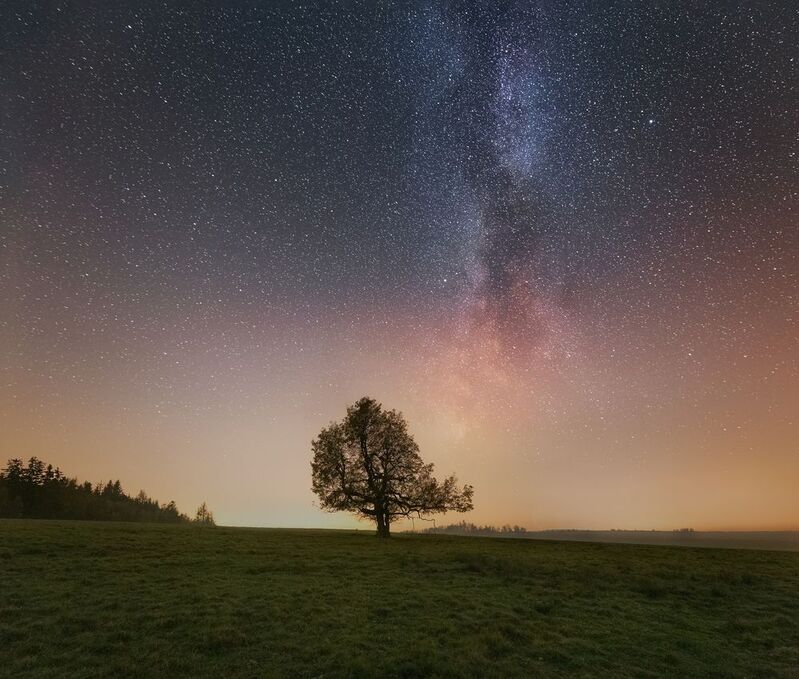 landscape, night, stars, solitair, tree Solitair inder the Starsphoto preview