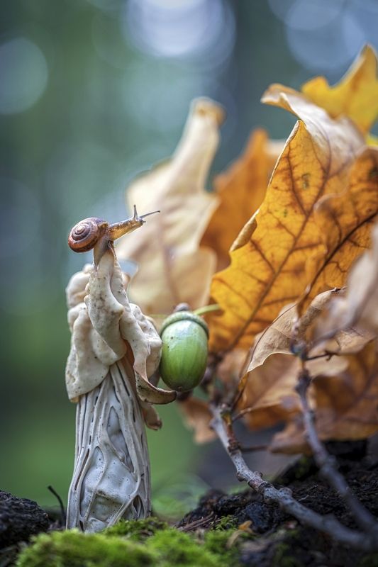 Так вот ты какая, осень...photo preview