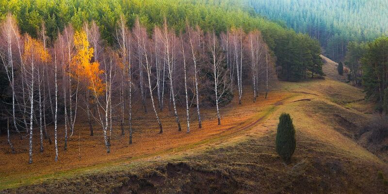 кыргызстан, урочище чункурчак Огни ускользающей осениphoto preview