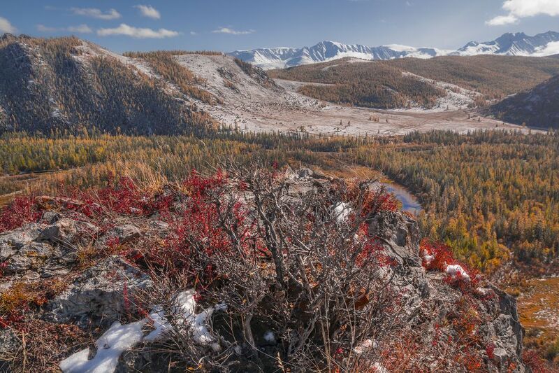 россия, горный алтай,осень Россыпь на камняхphoto preview