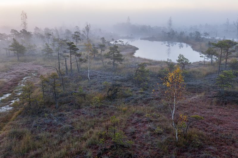 Туманное утроphoto preview