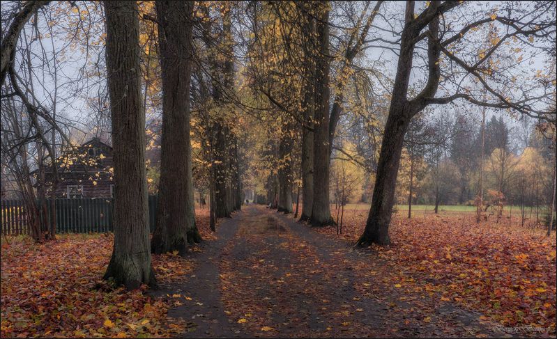 Старая аллеяphoto preview