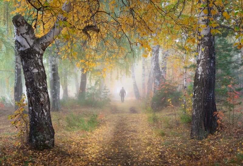 Осеннее утроphoto preview